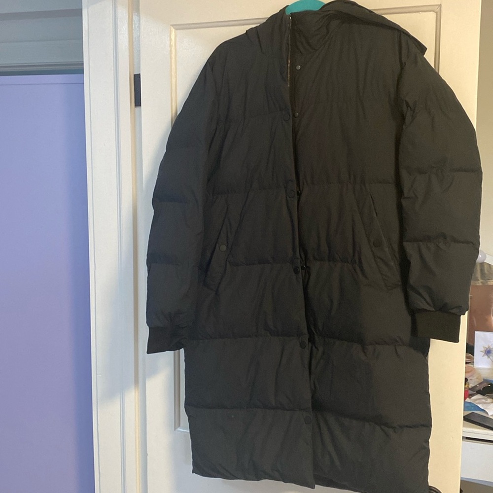 Everlane hooded parka